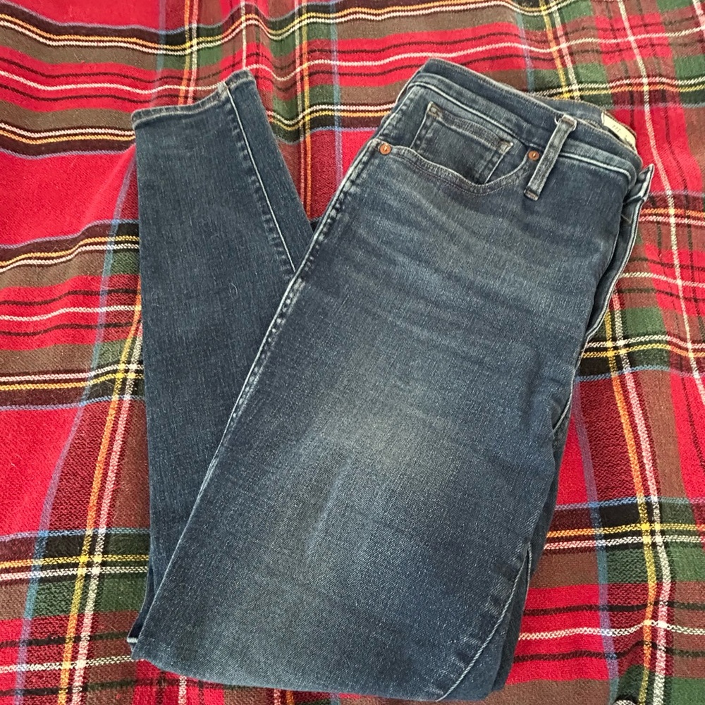 Madewell Indigo Skinny Jeans